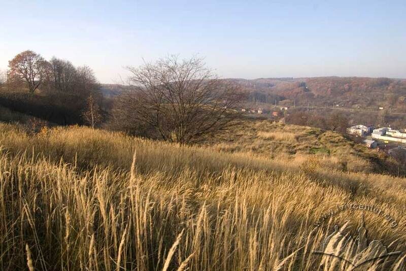 Вигляд з Кортумової гори, панорама Брюховицького лісопарку і Голоска на півночі.