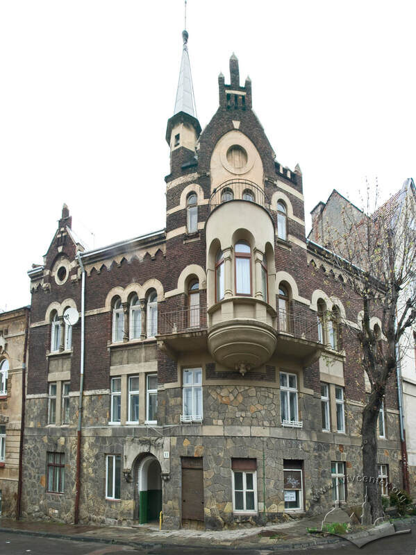 Вул. Вишенського, 11. Загальний вигляд