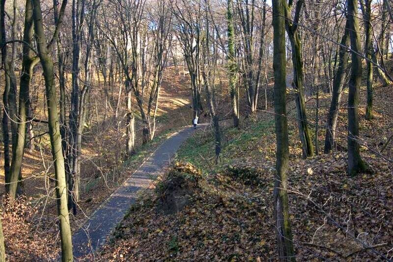 Стрийський парк, підйом на верхню терасу. Східний схил яру, утвореного Сорокою.