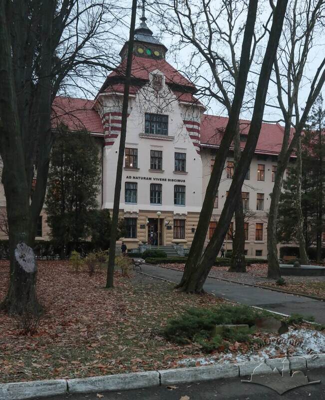 43-03-04--103-picture-4.jpg