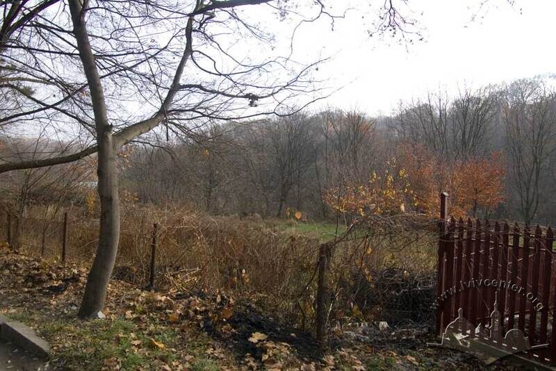Парк “Залізна вода” (на задньому плані). Вигляд з вулиці Дібровної.