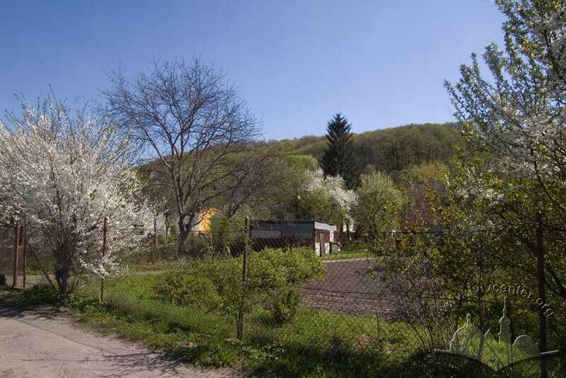 Парк “Кортумова гора” навесні, вигляд з вулиці Винниця. Північний схил гори.