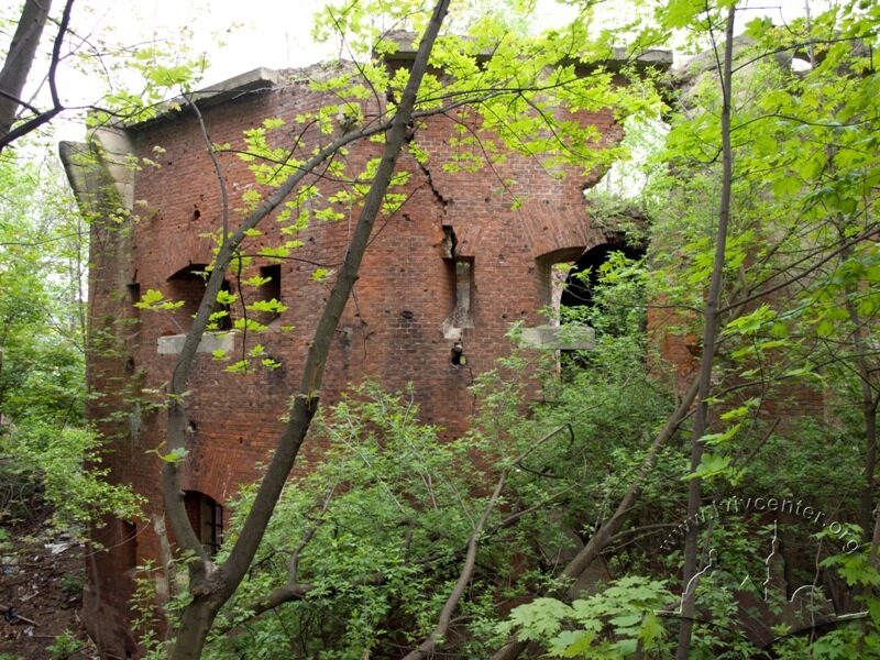 04.jpg