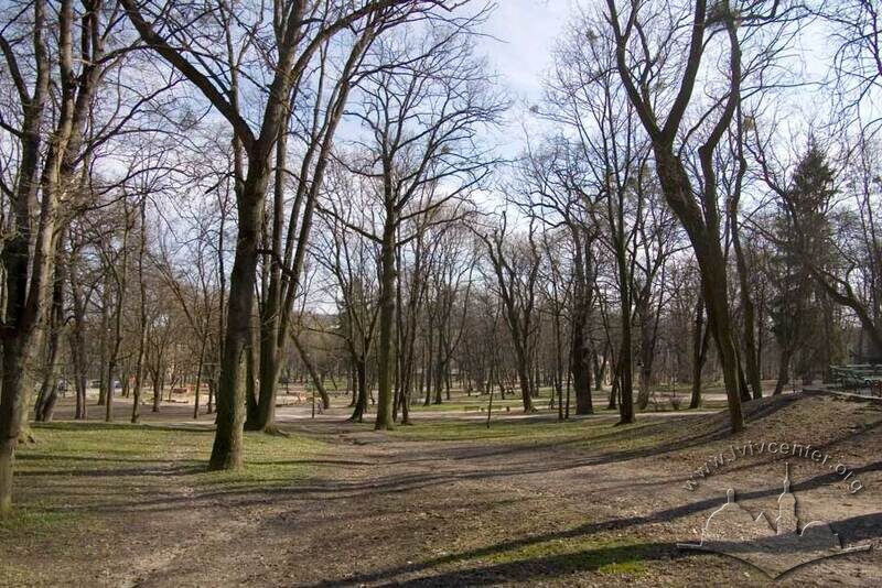 Північно-західна частина Парку ім. І. Франка, ділянка нижньої тераси.