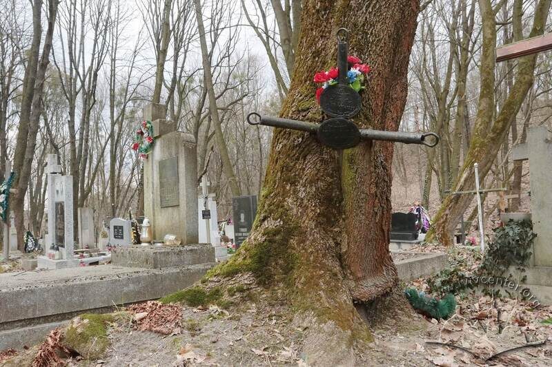 Знесінський цвинтар при вулиці Заклинських