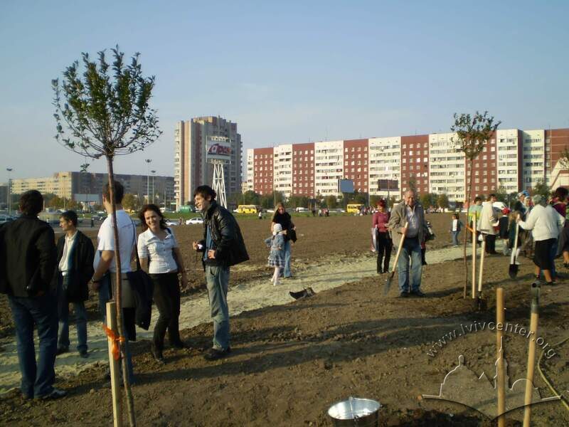 Planting of trees near the Nativity Church
