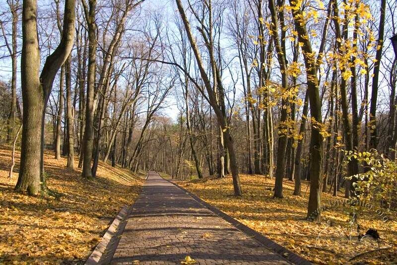 Алея біля північно-західної межі парку.