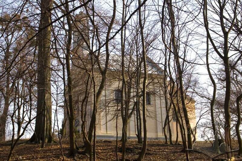 Церква св. Софії серед старих дерев.