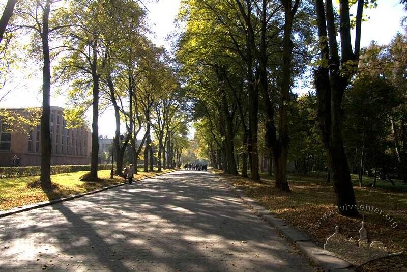 Стрийський парк, територія Крайової виставки 1894 р. і колишніх Східних торгів. Головна алея верхньої тераси.