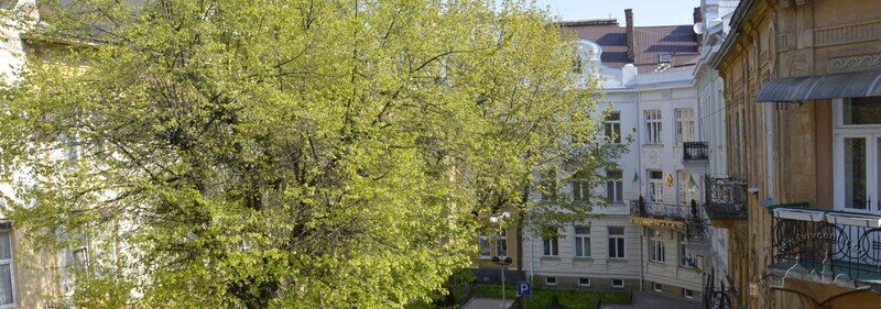 _DSC0707---2.JPG