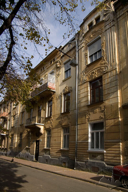 Вул. Акад. Павлова, 3. Вид на головний фасад