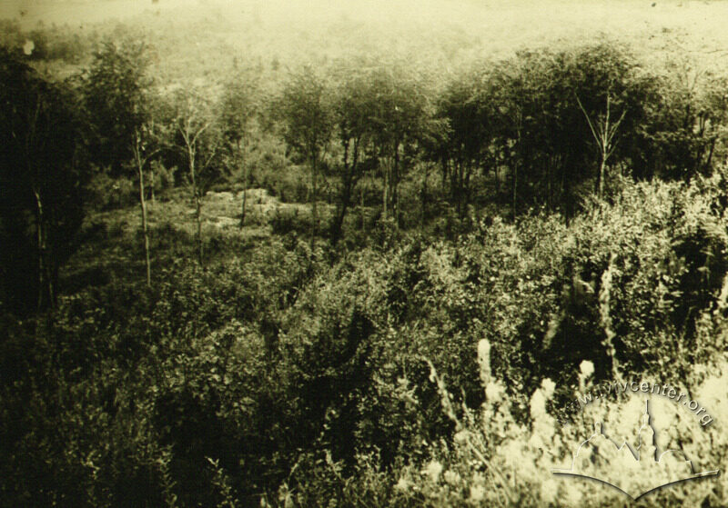 album_16-01-min.png