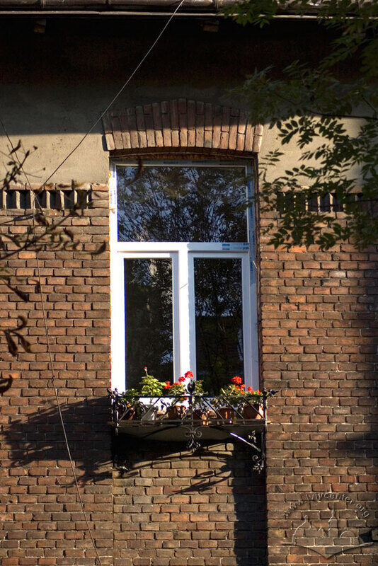 Вул. Котляревського, 41. Вікно 2-го поверху