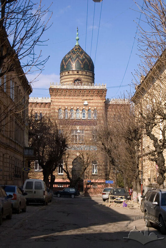 Вул. Раппапорта, 8. Вигляд на центральну частину з куполом з вул. Леонтовича