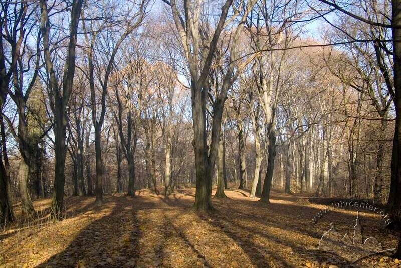 Парк “Залізна вода”, ландшафт північно-східної частини паркового масиву.