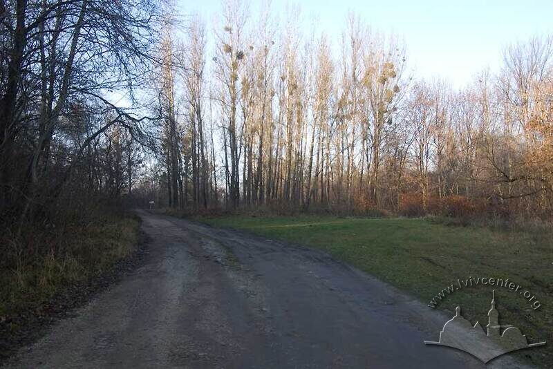 Парк “Кортумова гора”. Відгалуження вулиці Єрошенка заглиблюється у зелений масив, виконуючи функцію алеї.