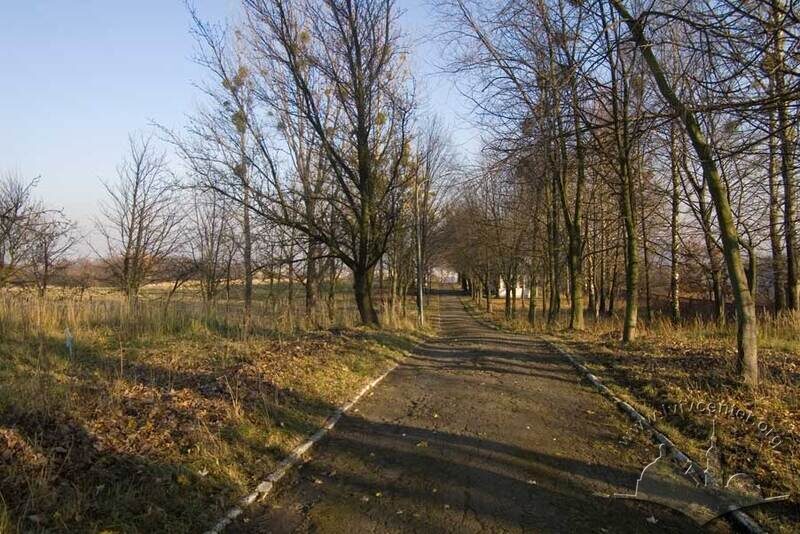 Парк “Кортумова гора”, плато на вершині гори. Алея спортивної стрільниці.
